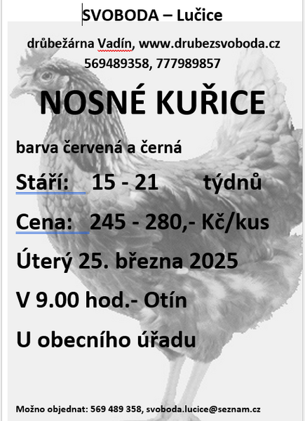 kuřice